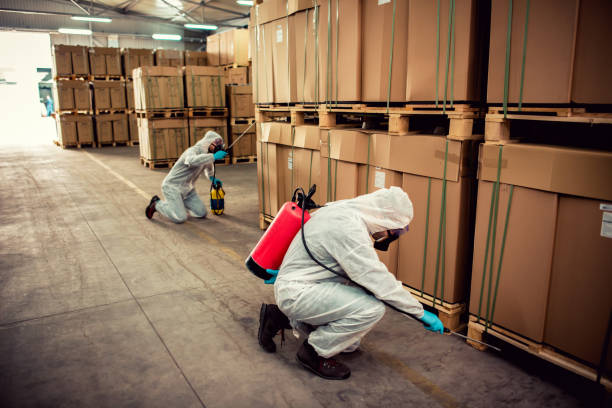 Best Pest Control Near Me  in Peoria Heights, IL