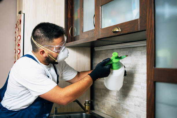 Best Affordable Pest Control Services  in Peoria Heights, IL