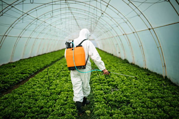 Best Pest Prevention Services  in Peoria Heights, IL