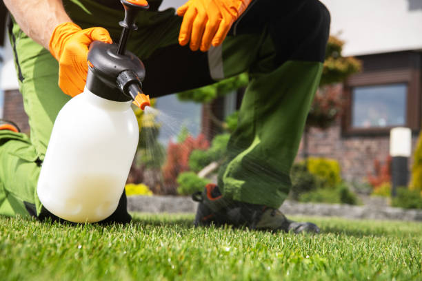 Trusted Peoria Heights, IL Pest Control Experts
