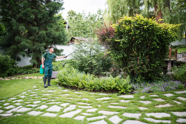 Best Pest Removal Services  in Peoria Heights, IL