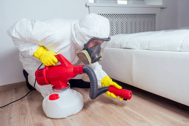 Best Wasp Removal Services  in Peoria Heights, IL