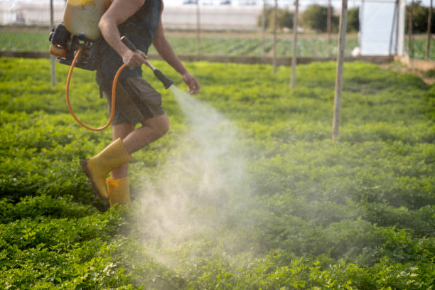 Best Pest Inspection Near Me  in Peoria Heights, IL