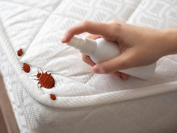 Best Pest Removal Services  in Peoria Heights, IL
