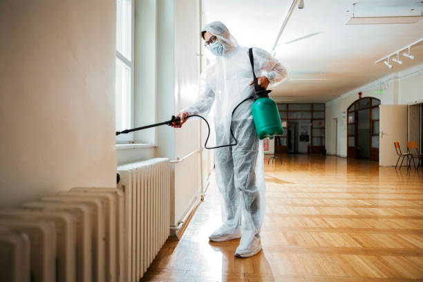 Best Insect Control  in Peoria Heights, IL