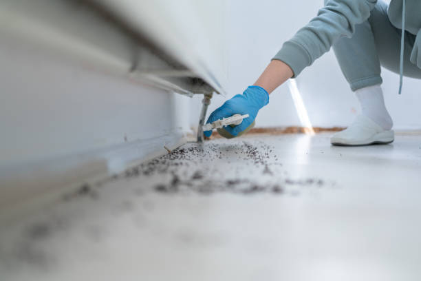 Best Wildlife Control Services  in Peoria Heights, IL