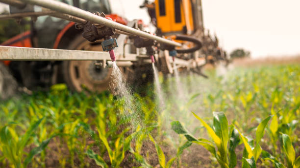 Best Pest Prevention Services  in Peoria Heights, IL